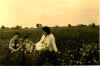 wpe37.jpg (28886 octets)