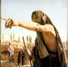 wpe36.jpg (67647 octets)