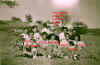 wpe29.jpg (78450 octets)